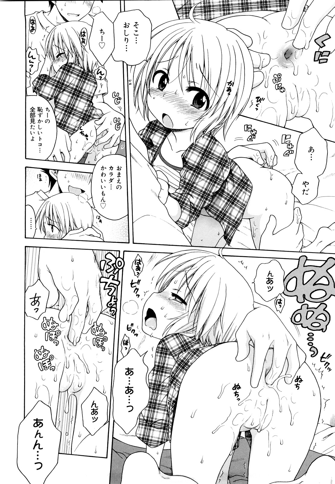 [犬星] おにいちゃんが、すき。