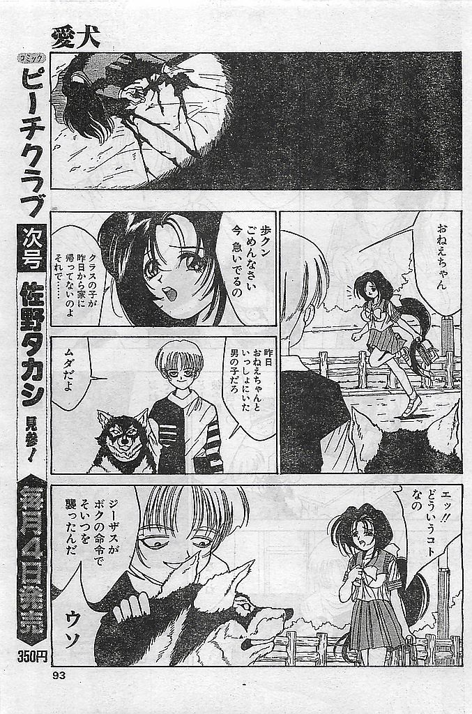 (雑誌) COMIC ピーチクラブ Vol.4 1996年01月号