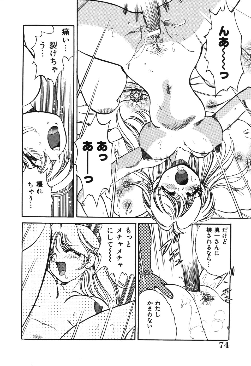 [狼太郎] 美処女散華