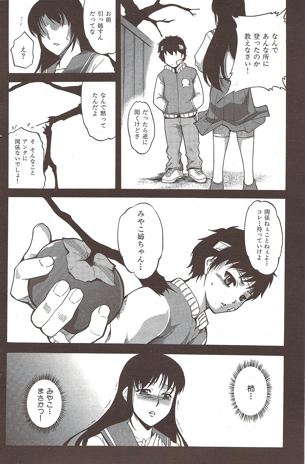 [雑誌] COMIC 華漫 2010年02月号