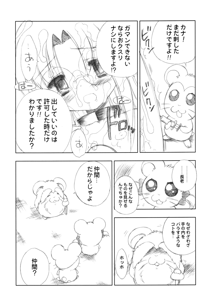 (Cレヴォ35) [ふらいぱん大魔王電脳倶楽部 (提灯暗光)] BENEATH THE PLANET OF THE HAMS (とっとこハム太郎)