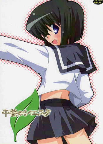 (C72) [CitrusFruits (橘川たける)] 午後のシエスタ (ゼロの使い魔)