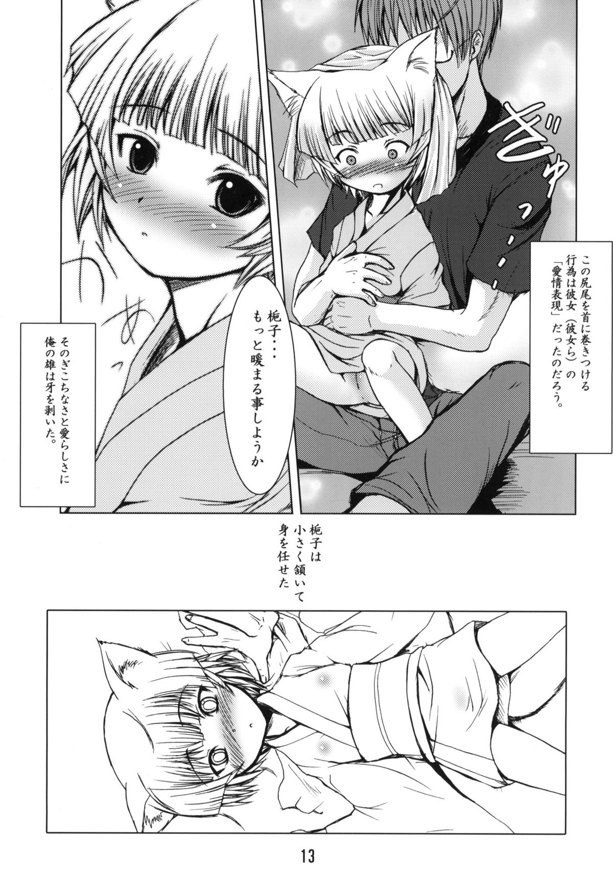 (C67) [端末異常 (BadHanD)] 白狐の杜