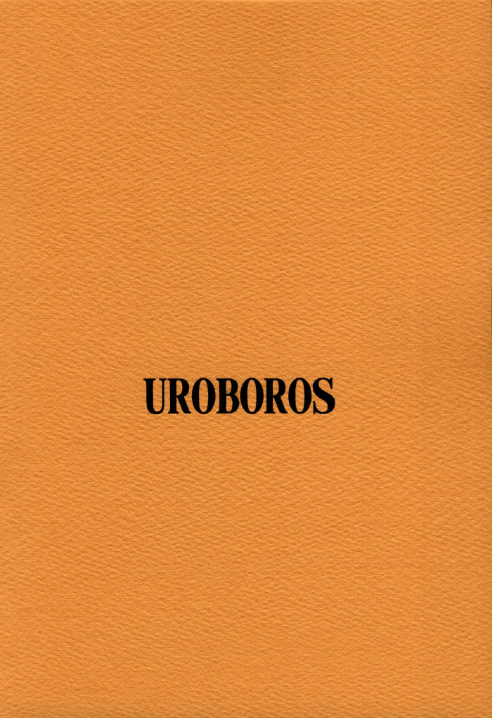 (CR33) [UROBOROS (うたたねひろゆき)] out of order (ガドガード)