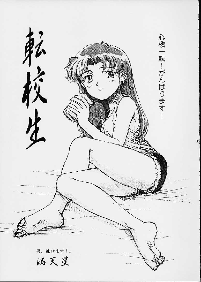 (CR29) [満天星友乃会 (満天星)] ツツジミュージアム2 満天星第二作品集 (新世紀エヴァンゲリオン, センチメンタルグラフティ)