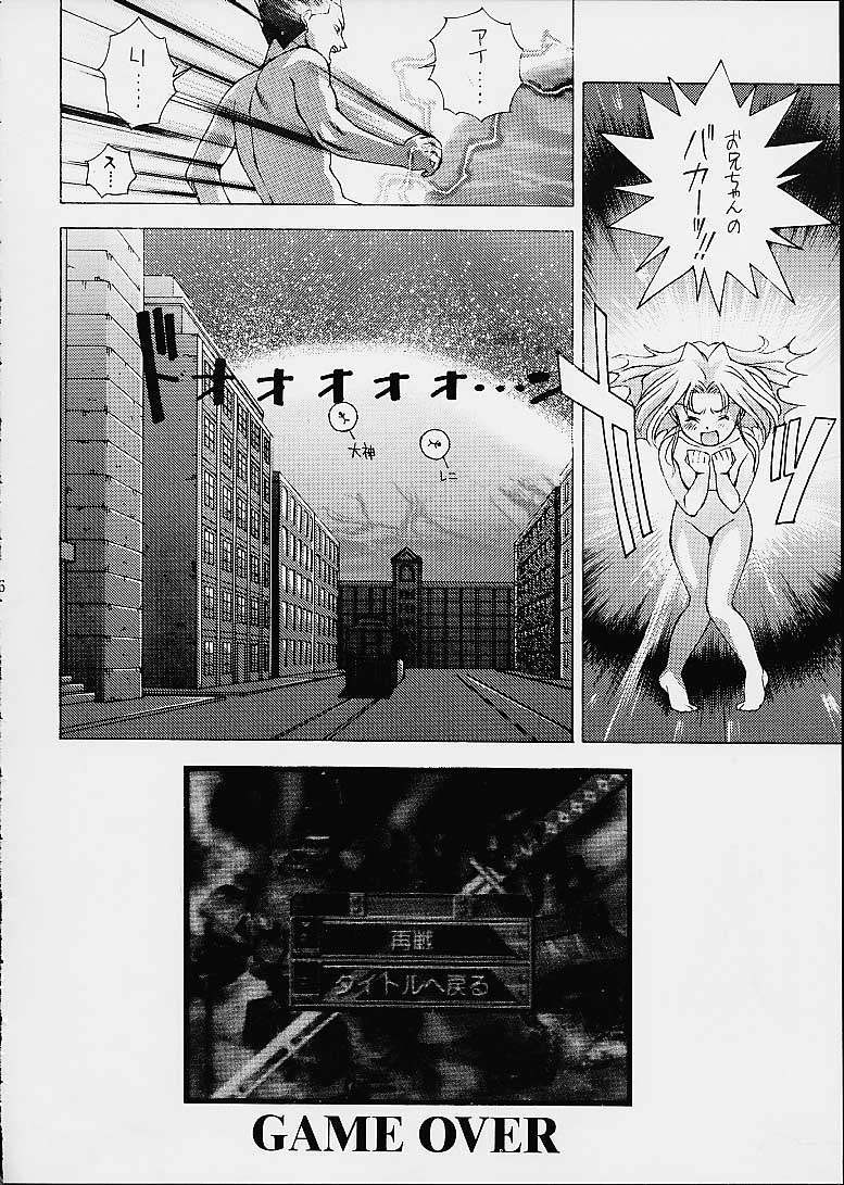 (CR29) [満天星友乃会 (満天星)] ツツジミュージアム2 満天星第二作品集 (新世紀エヴァンゲリオン, センチメンタルグラフティ)