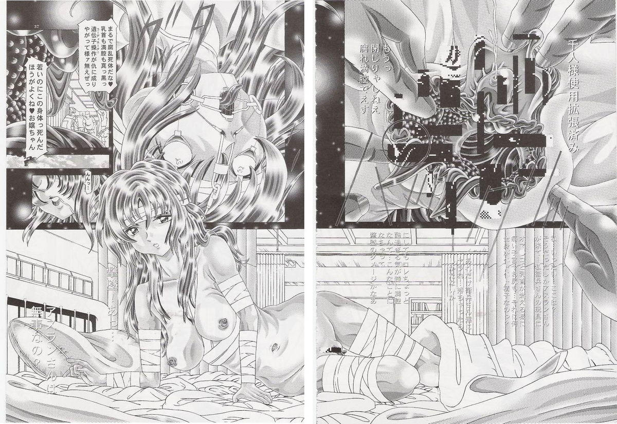 (C72) [柿ノ房 (柿ノ本歌麿)] RANDOM NUDE Vol.8 - Meyrin Haruke (機動戦士ガンダムSEED DESTINY)