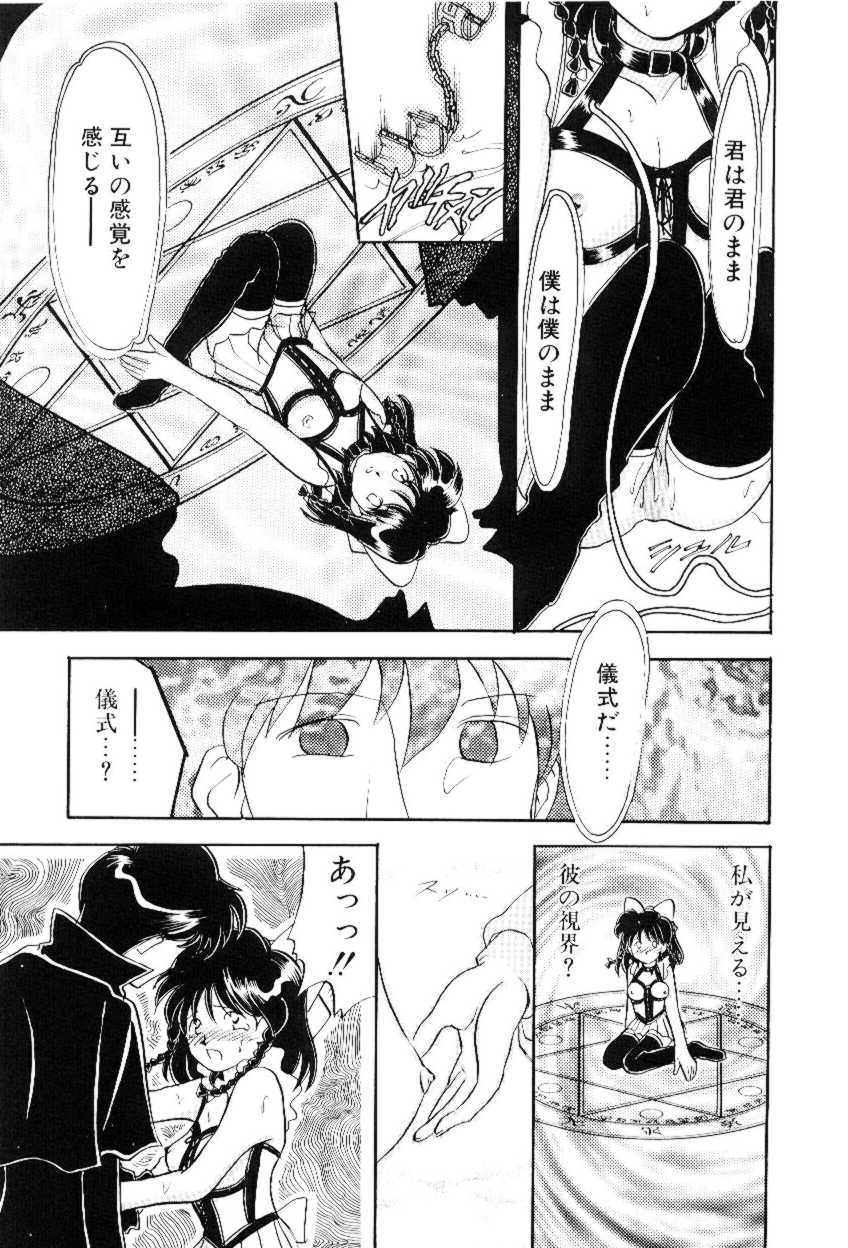 [山咲梅太郎] ほえほえプラム物語(ストーリー)