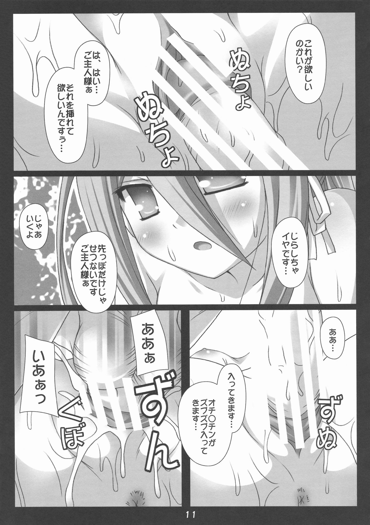 (COMIC1☆3) [Nirvana Soft (ひろにい)] フェリの秘•密の特訓 (鋼殻のレギオス)