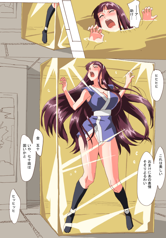 [夢々] くのいち淫謀帖