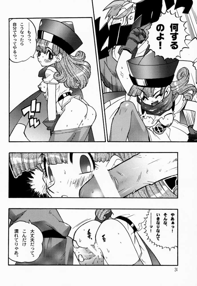 (C57) [HF (藤本秀明)] ドラクエミラクル (ドラゴンクエスト)