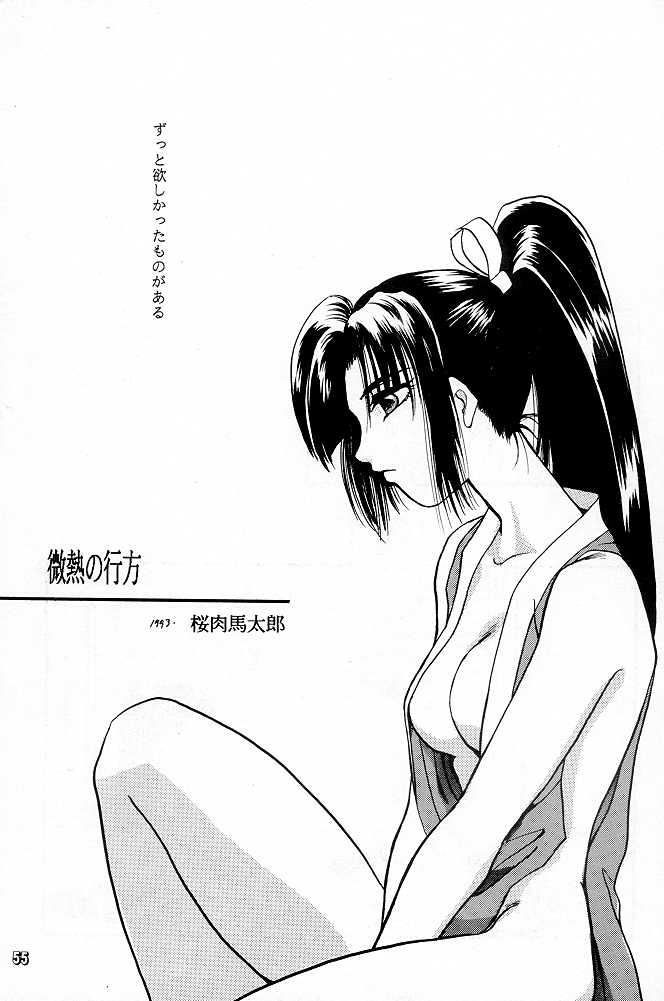 [P&K Special] プロセス (餓狼伝説)