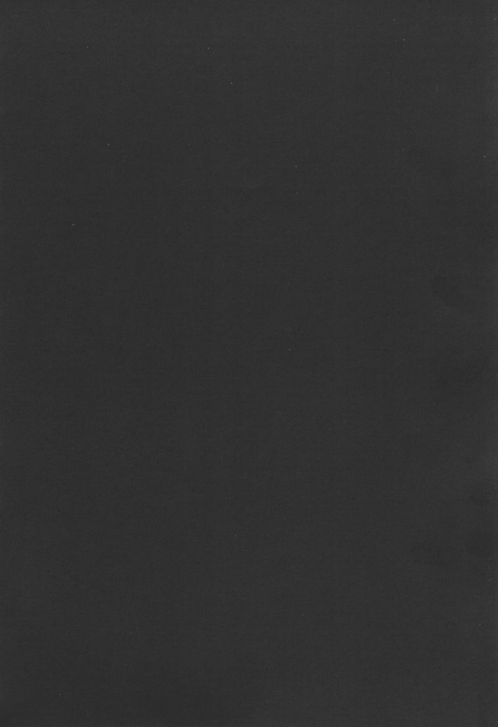 (C61) [Yの食卓 (浜田よしかづ)] 拈華微笑 (サモンナイト2)