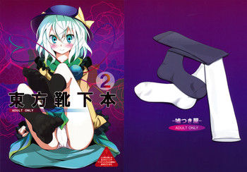 (例大祭6) [嘘つき屋 (大嘘)] 東方靴下本2 (東方Project)