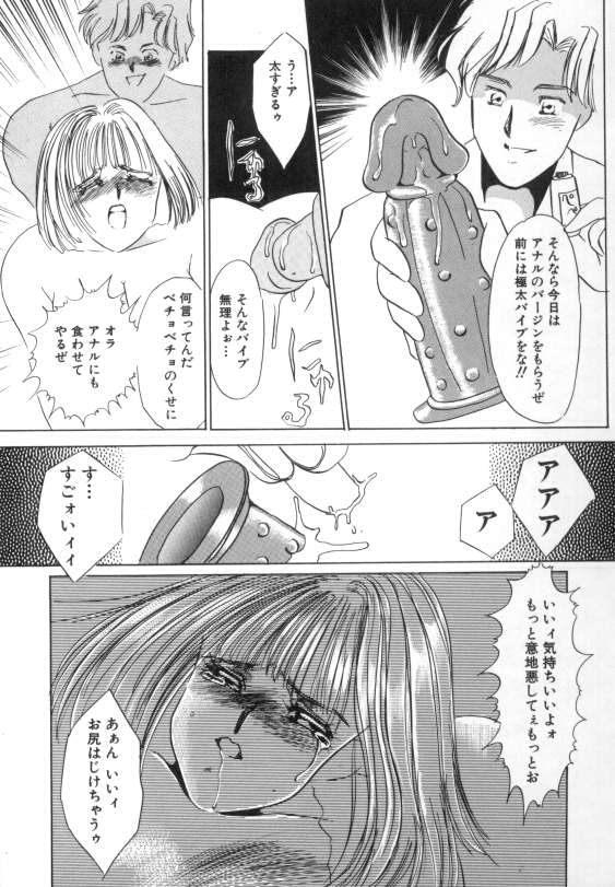 [海野やよい] 水蜜糖の夢