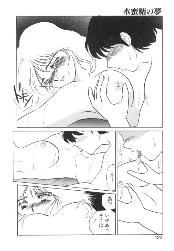 [海野やよい] 水蜜糖の夢