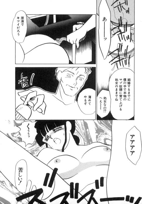 [海野やよい] 水蜜糖の夢