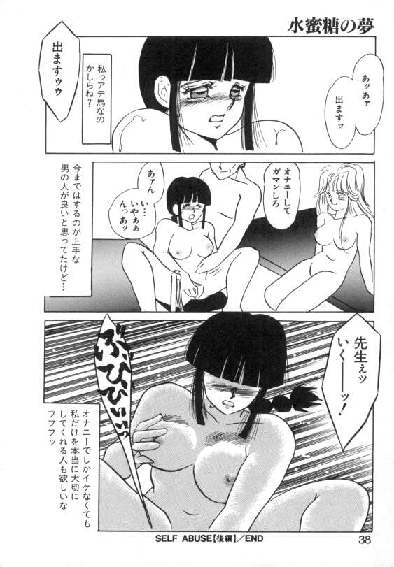 [海野やよい] 水蜜糖の夢