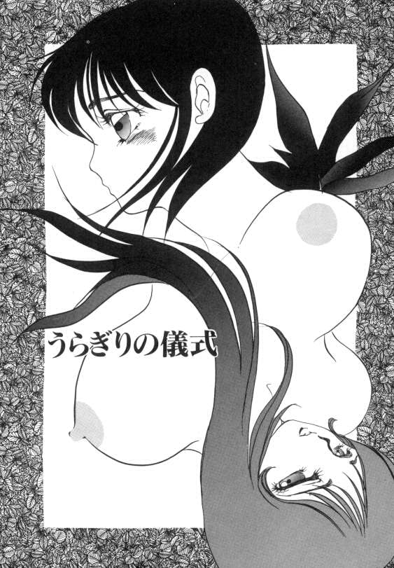 [海野やよい] 水蜜糖の夢