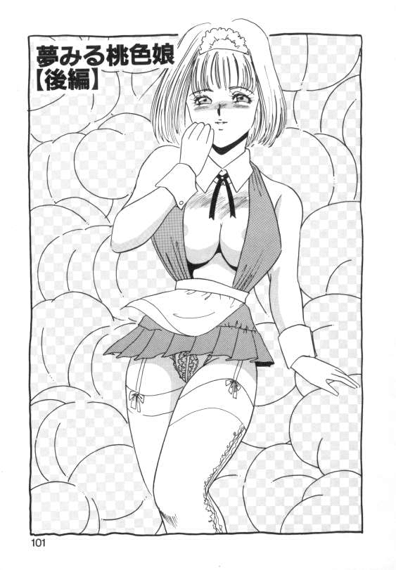 [海野やよい] 水蜜糖の夢