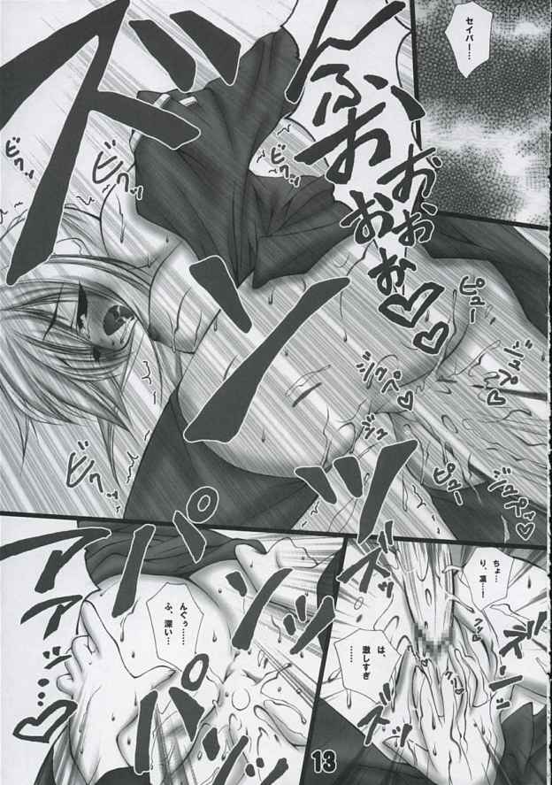 [暴走スワンチカ] SOMEONE (Fate/Stay Night)