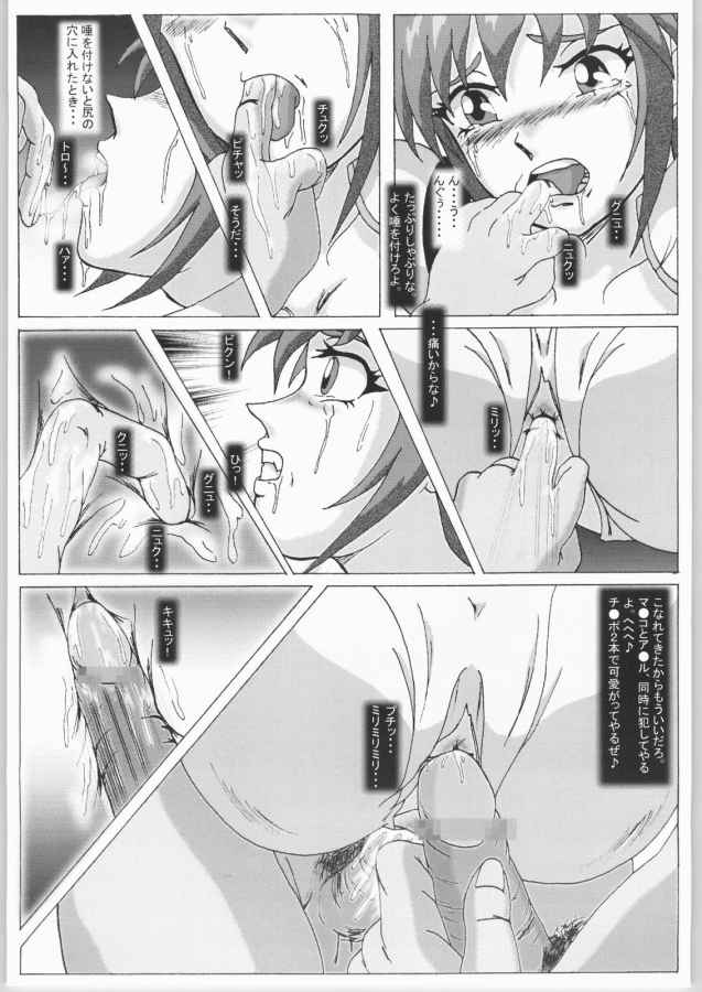 [華とりぼん (ぷりぷり右衛門)] 成年 華とりぼん 3 (ストラトス・フォー)