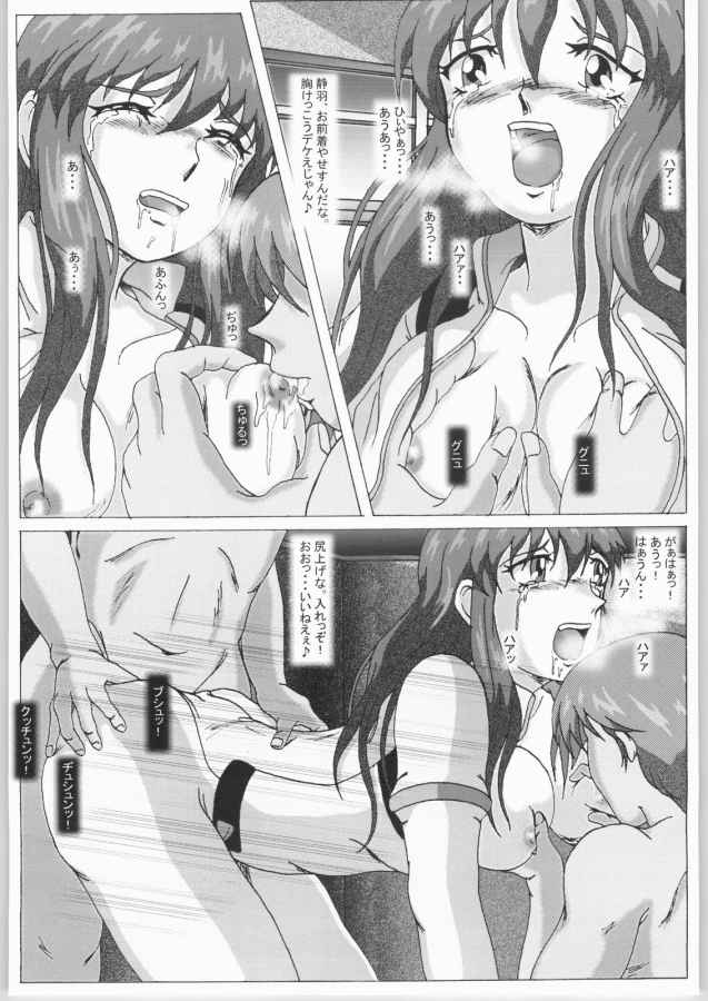 [華とりぼん (ぷりぷり右衛門)] 成年 華とりぼん 3 (ストラトス・フォー)