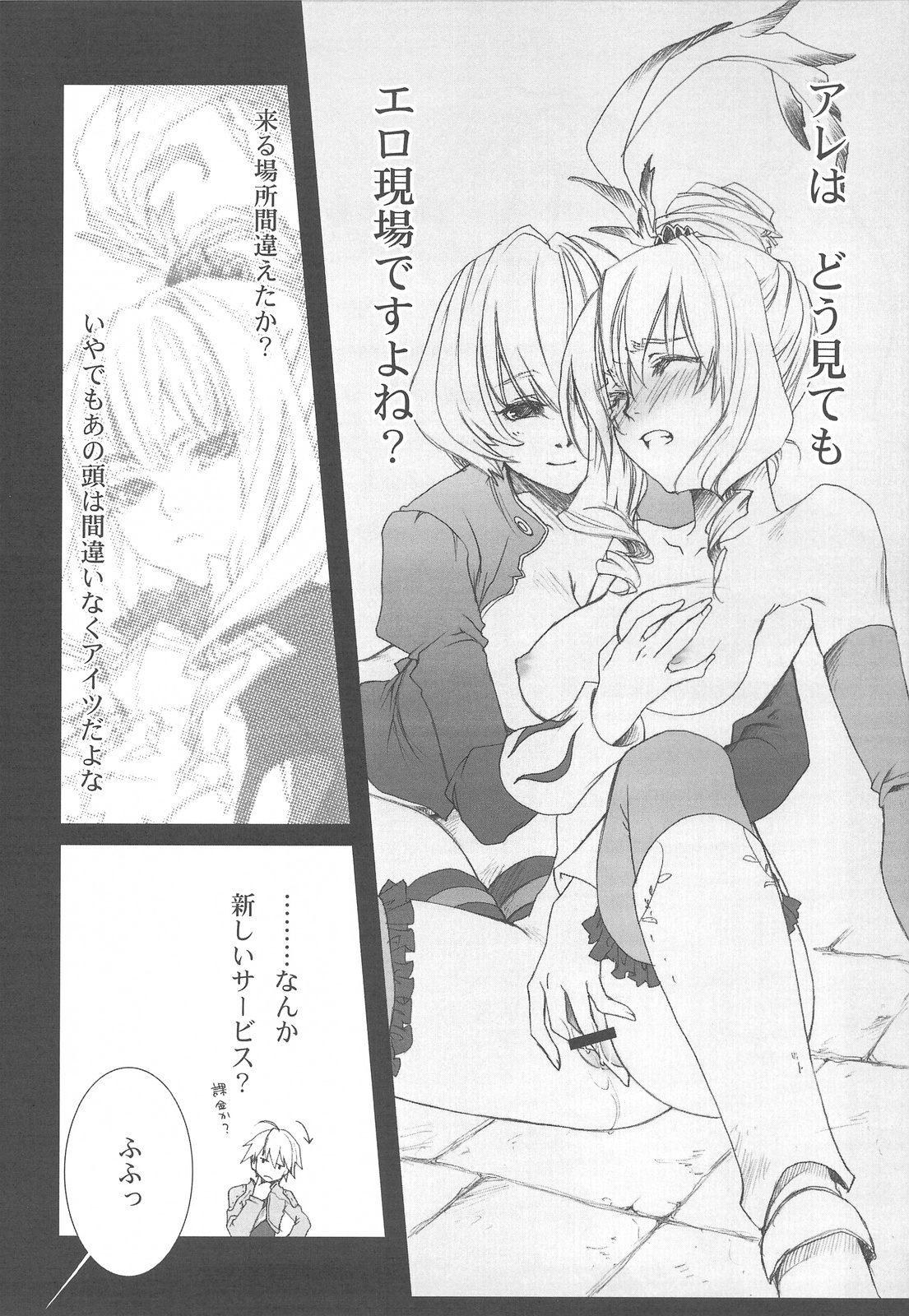 (C76) [赤い翼 (橘チャタ)] .001 (ファンタジーアースゼロ)