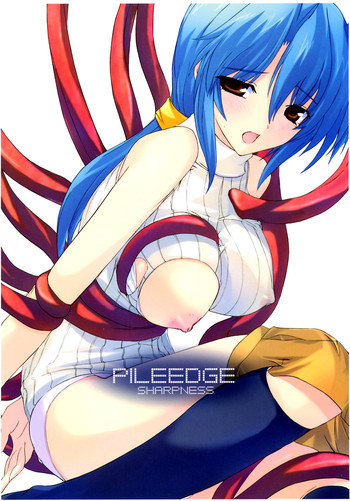 (C66) [斬鬼楼 (おにぎりくん)] PILE EDGE SHARPNESS (カオシックルーン)