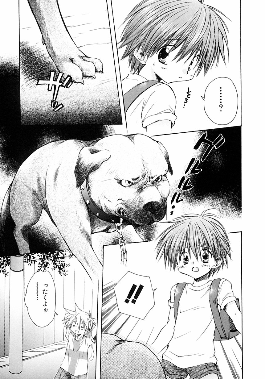 [アンソロジー] 少年愛の美学III・THE泣き虫少年