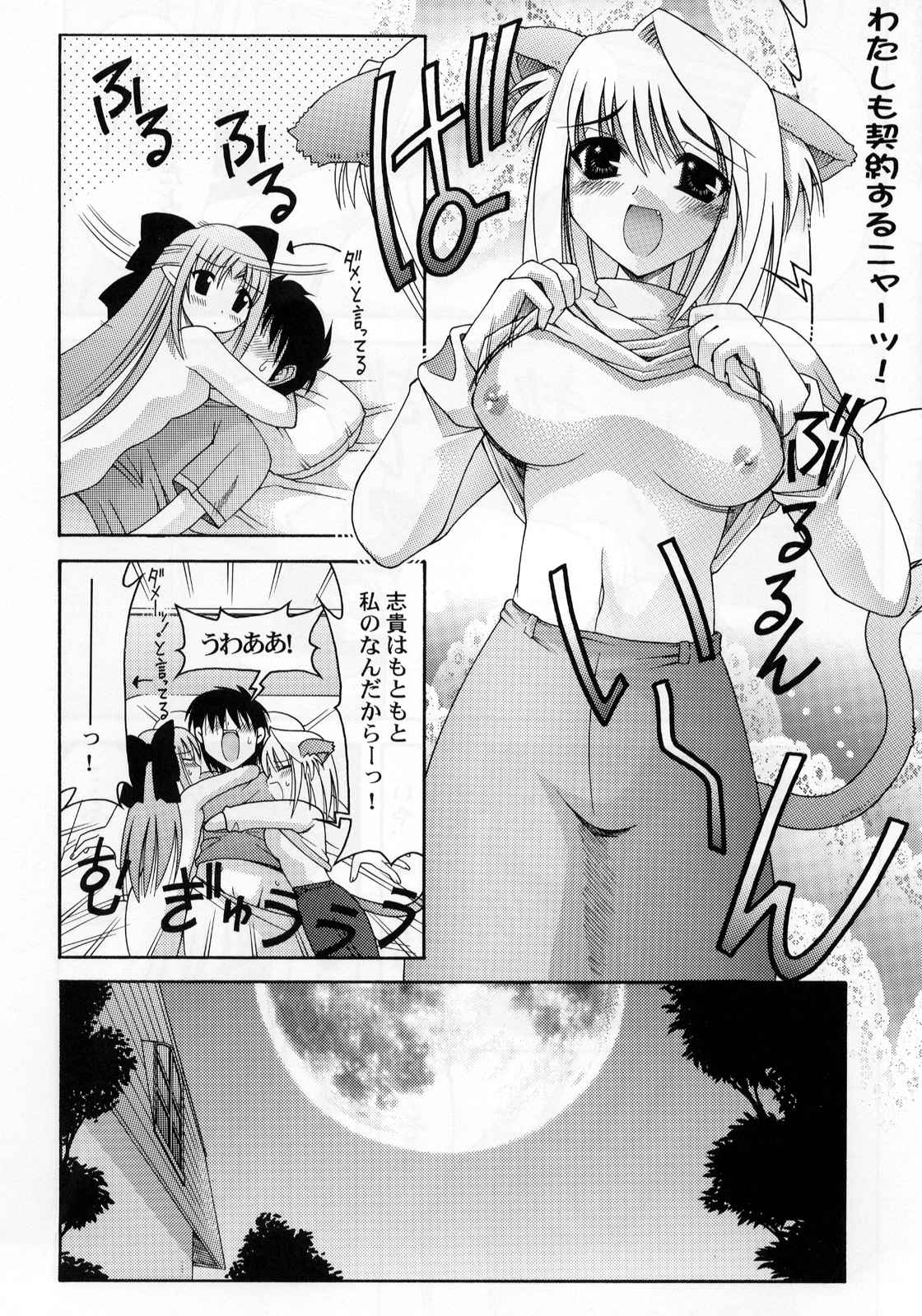 (Cレヴォ30) [暴れん坊天狗 (大天狗庵、泉ゆうじろー)] 暴れ月夜 (月姫)