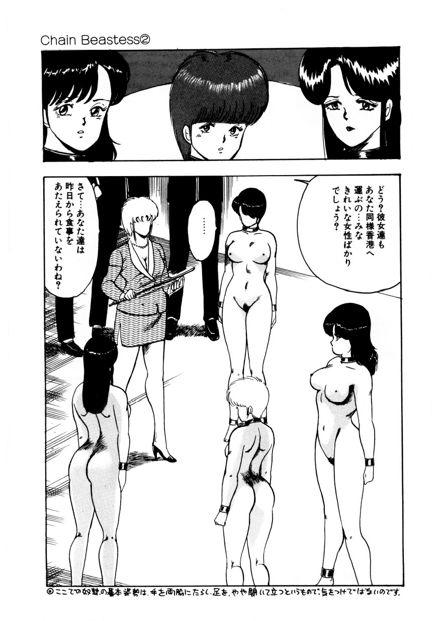 マイナーボーイ-チェーンビーステス2