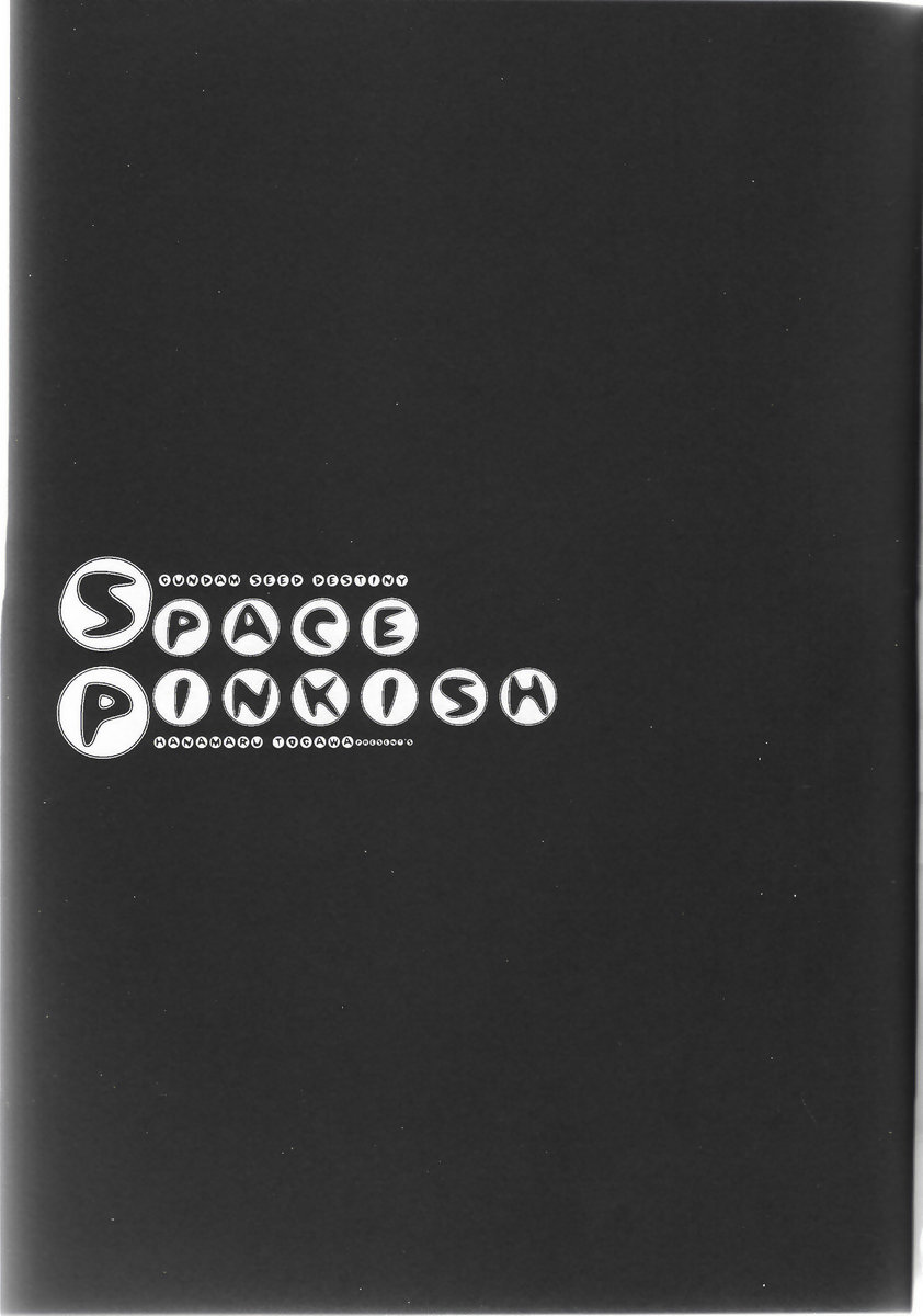 (C68) [C.Bjim (とがわはなまる)] SPACE PINKISH (機動戦士ガンダムSEED DESTINY)