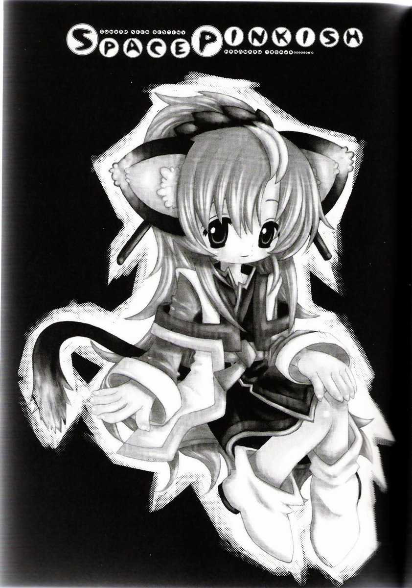 (C68) [C.Bjim (とがわはなまる)] SPACE PINKISH (機動戦士ガンダムSEED DESTINY)