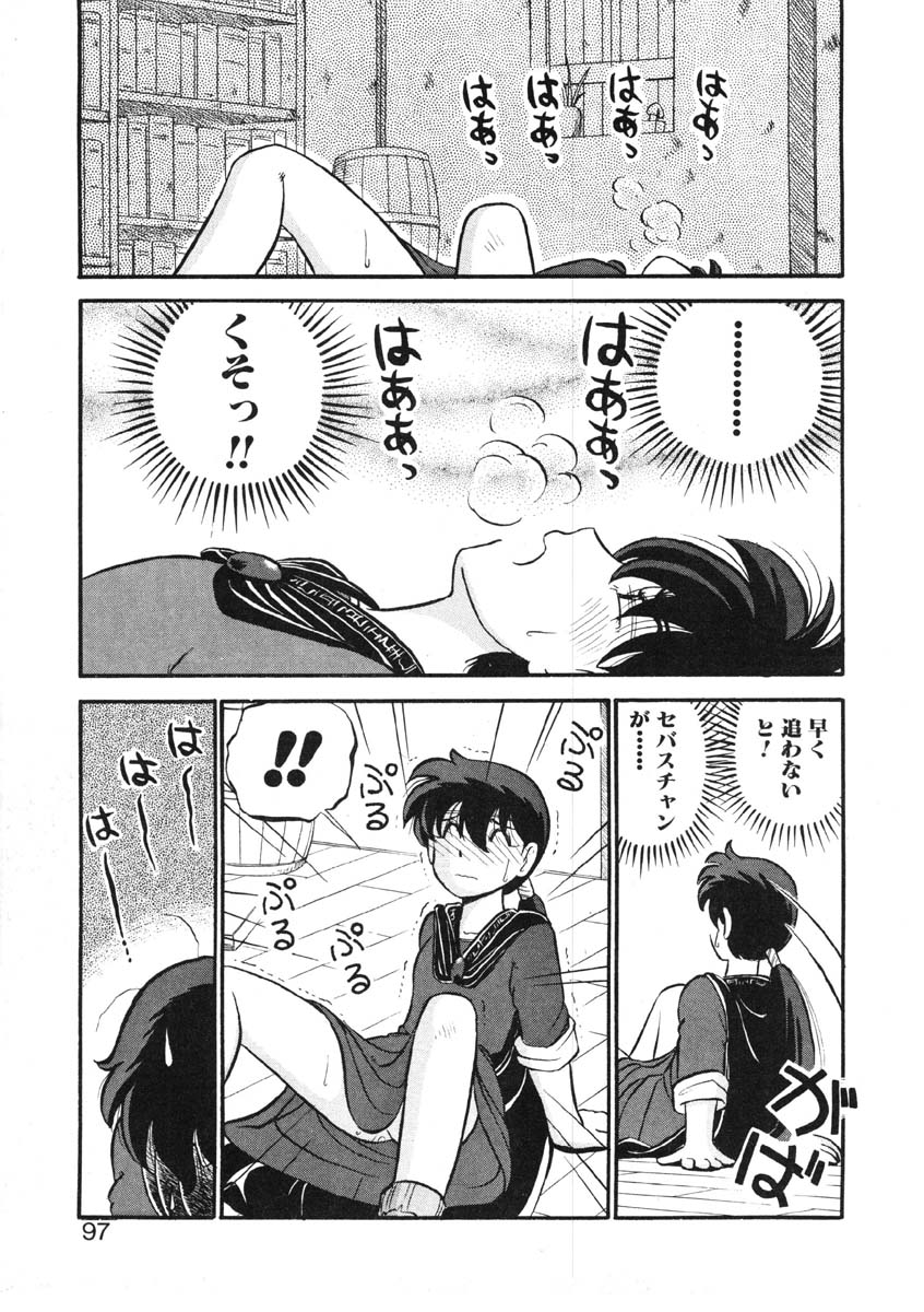 [がぁさん] シィナのファブリオ