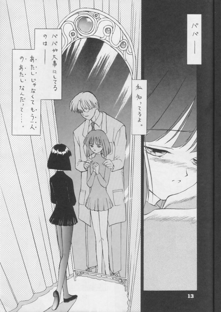 【日本ワルワル同名】風光のぜんやさい【セーラームーン】