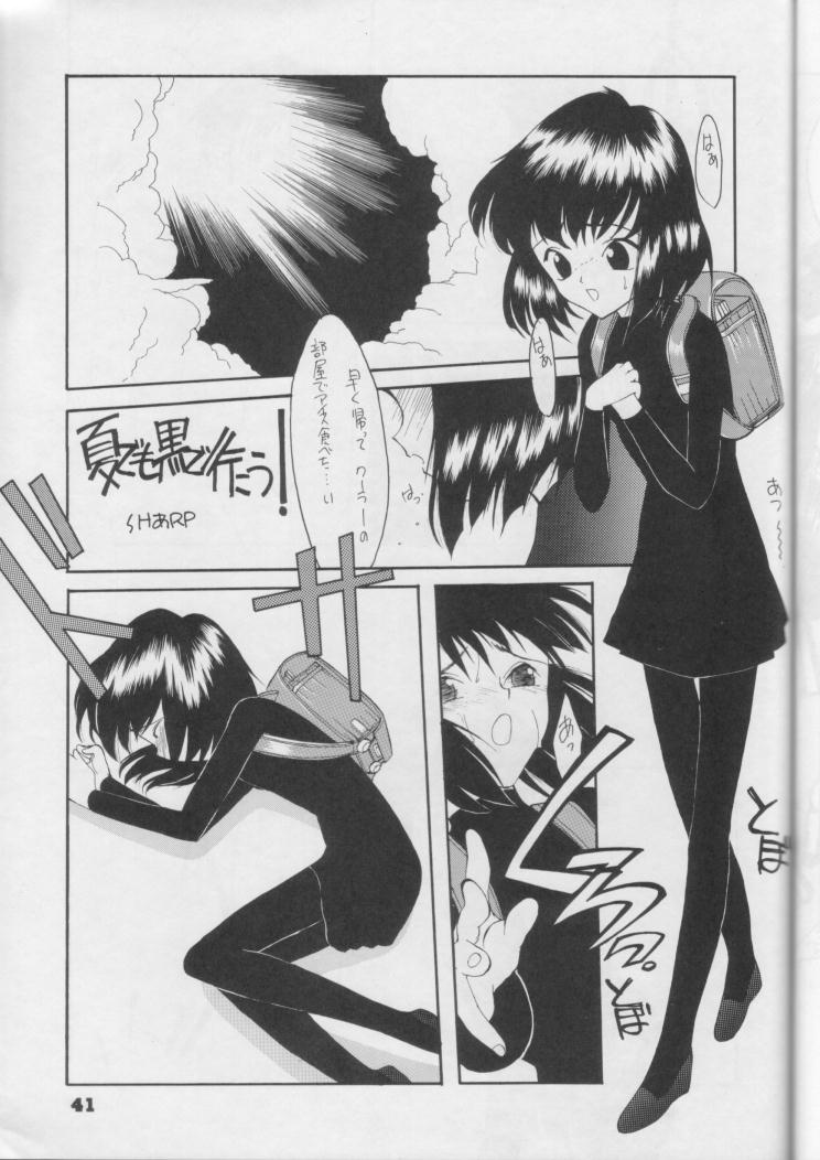 【日本ワルワル同名】風光のぜんやさい【セーラームーン】