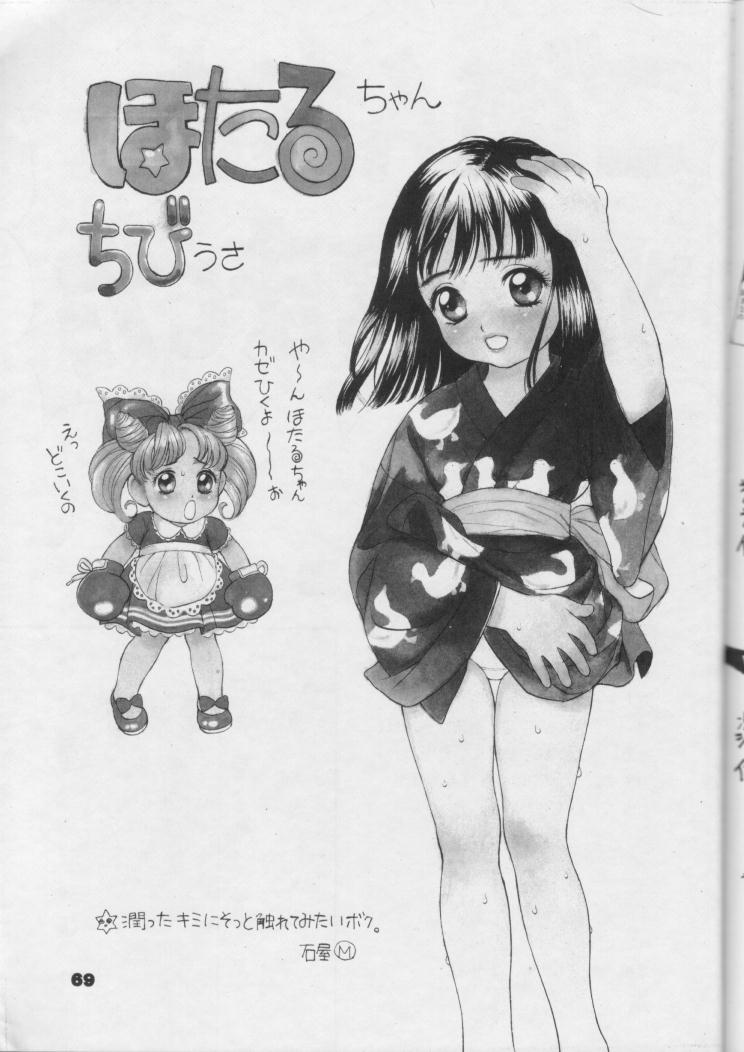 【日本ワルワル同名】風光のぜんやさい【セーラームーン】