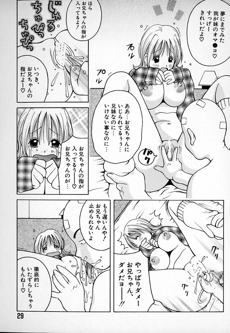 [ＫＡＳＨＩみちのく] THE NEW MOVEMENT