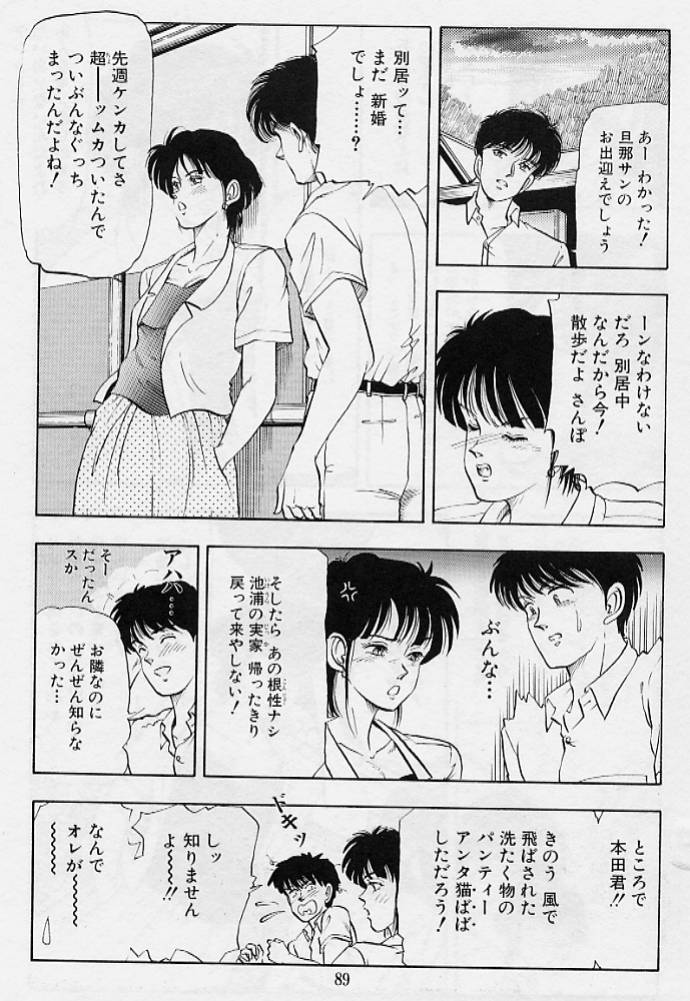 [時積恵美之] 風の東の月の森 3