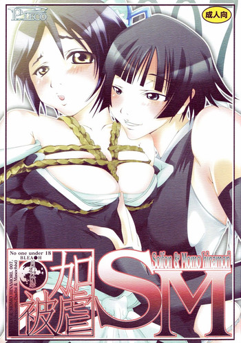 (CC大阪61) [PLECO (チキコ)] 加虐・被虐～月のない空～ (ブリーチ)