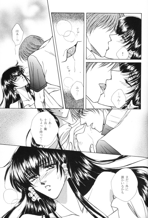 白蓮-十兵衛一樹