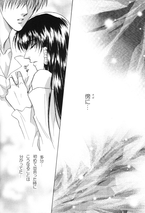 白蓮-十兵衛一樹