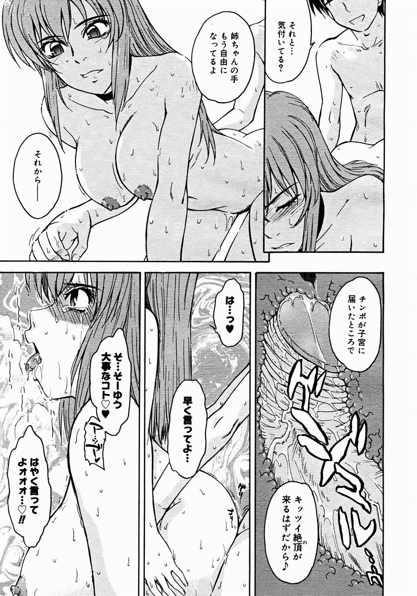 コミックメガストア 2004年12月号