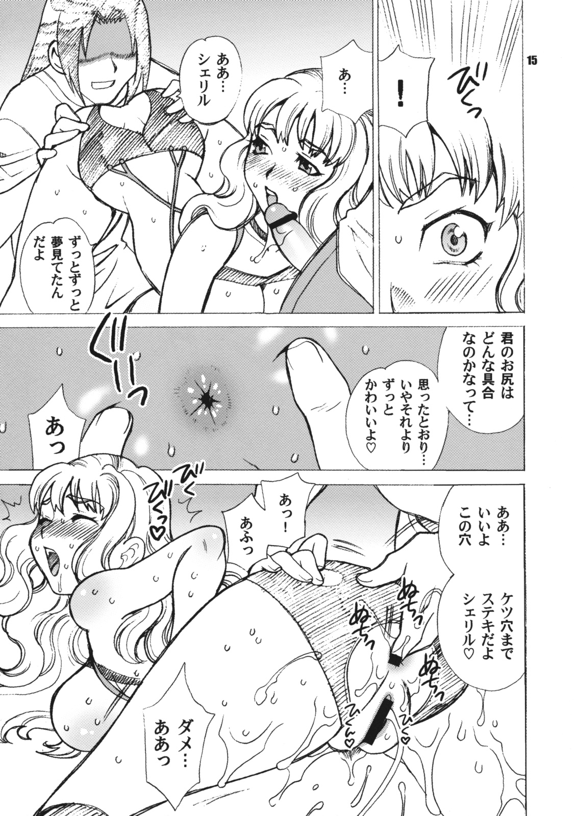 (C74) [シャルロット・ココ (ゆきやなぎ)] ゆきやなぎの本 16 シェリルとランカのアイドルはなんてステキなお仕事 (マクロスFRONTIER)