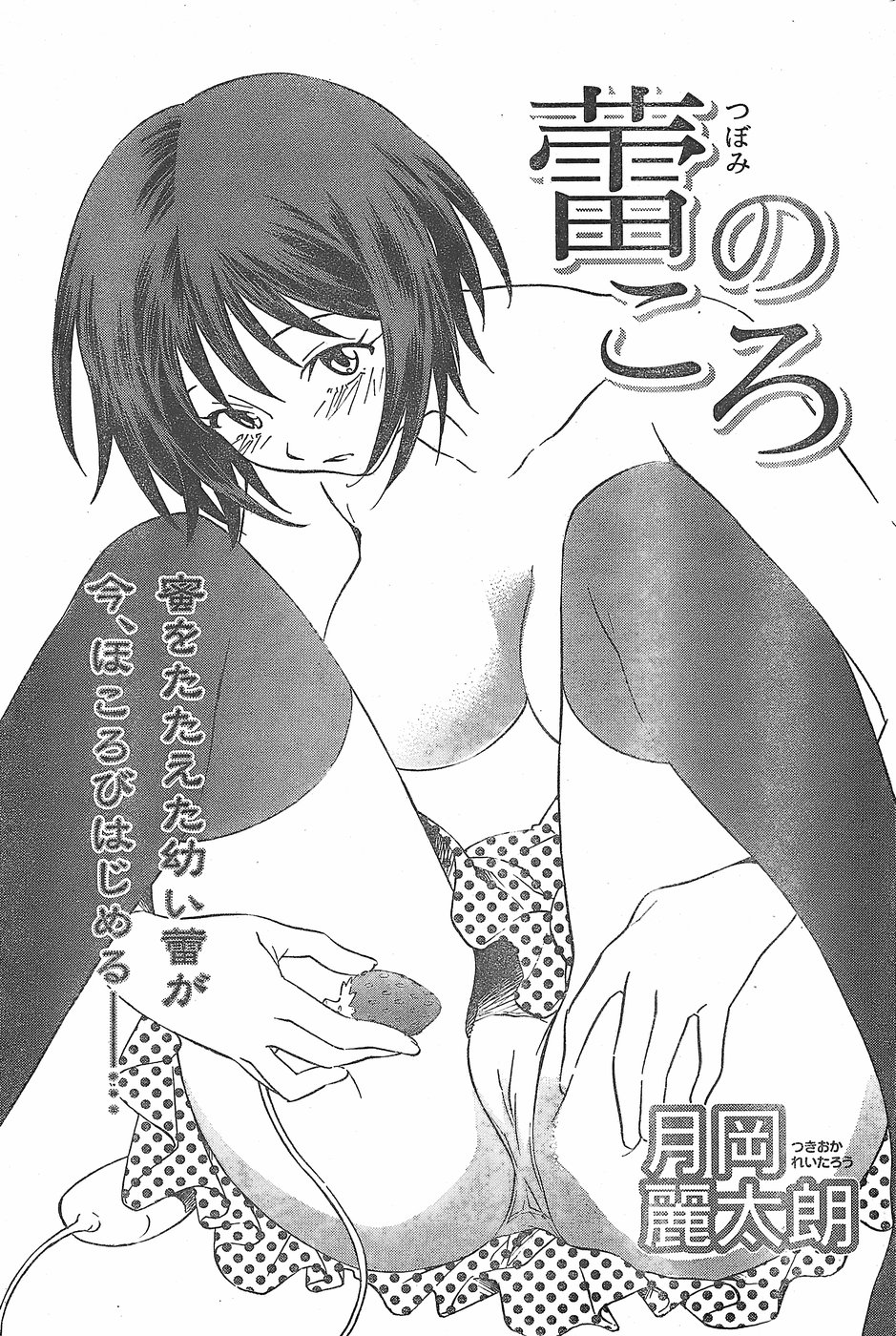 月刊 ビタマン 2007年11月号