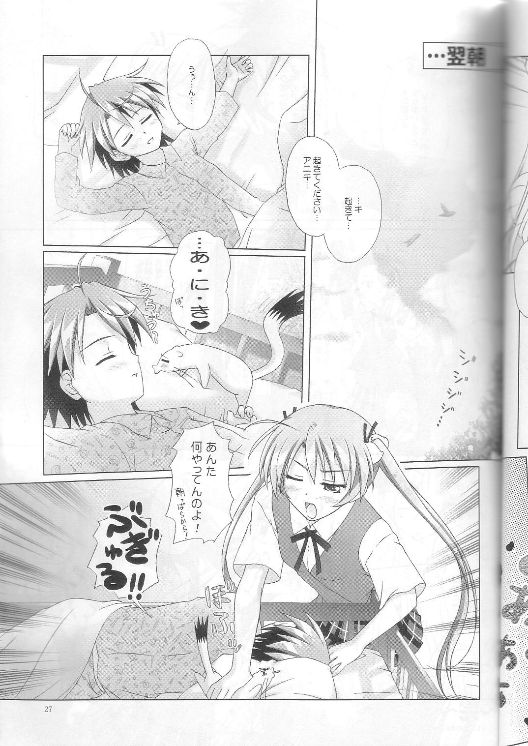 [まにてぃっく] ねぎま!っくす3 (魔法先生ネギま！)