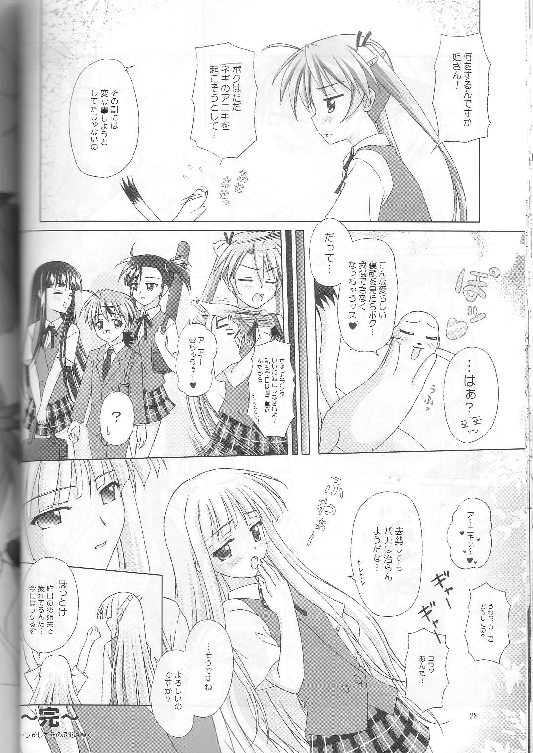 [まにてぃっく] ねぎま!っくす3 (魔法先生ネギま！)