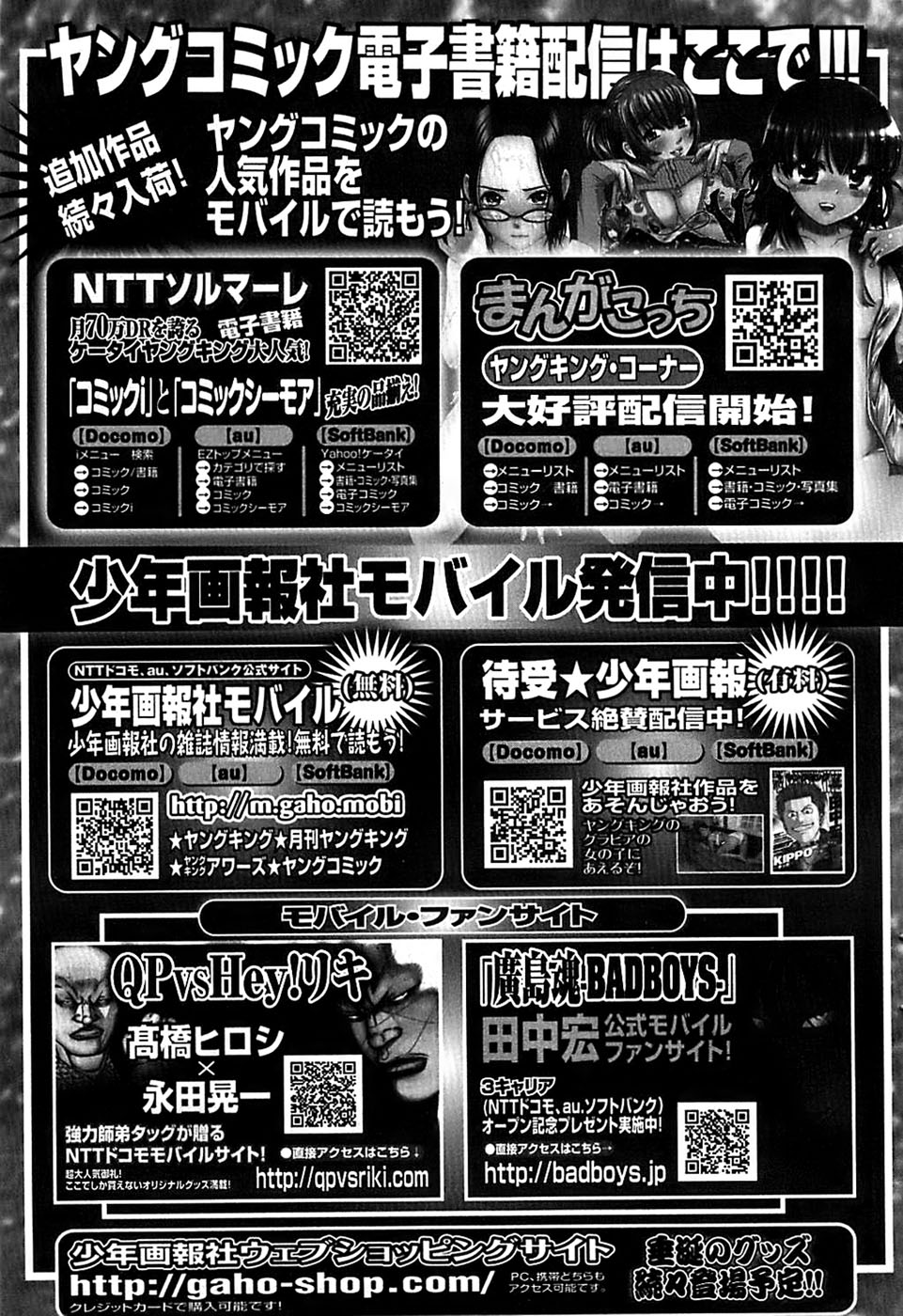 ヤングコミック 2008年11月号