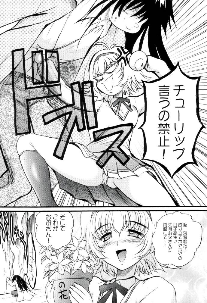 (C62) [あかひら麒麟 (あかひらきりん)] 美 TO 3 (新白雪姫伝説プリーティア)